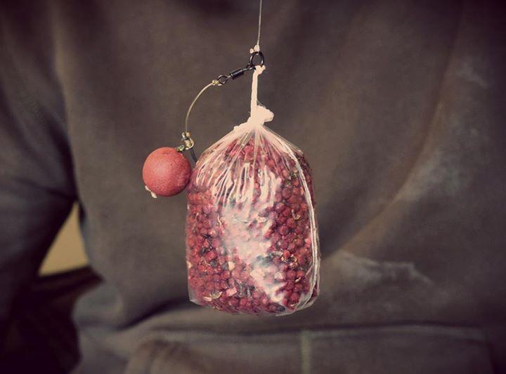 OMG - img4087200922786.jpeg